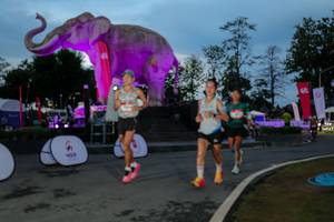 BIB: 
                            <button type="button" onclick="openModal(26529678)" class="btn btn-primary btn-sm float-right btn-popup" data-toggle="modal" data-target=".modal-high-quality">
                        <i class="fas fa-shopping-cart"></i> Add to Cart
                    </button>
                                            <button type="button" onclick="isThisMe(26529678, true)" class="btn btn-success btn-sm float-right btn-popup btn-isme hidden" data-toggle="tooltip" data-placement="bottom" title="นี่คือรูปของคุณใช่ไหม คลิกที่นี่เพื่อเอาเข้าอัลบั้ม">
                        <i class="fas fa-plus"></i> Add to album
                    </button>
                    <button type="button" onclick="isThisMe(26529678, false)" class="btn btn-warning btn-sm float-right btn-popup btn-isnotme hidden">
                        <i class="fas fa-ban"></i> Remove from album
                    </button>